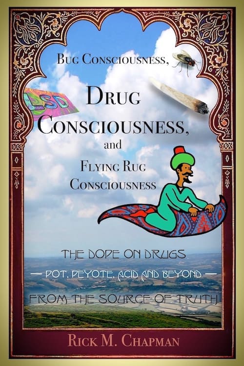 Drug Consciousness book cover